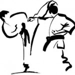 taekwondo-grafik113